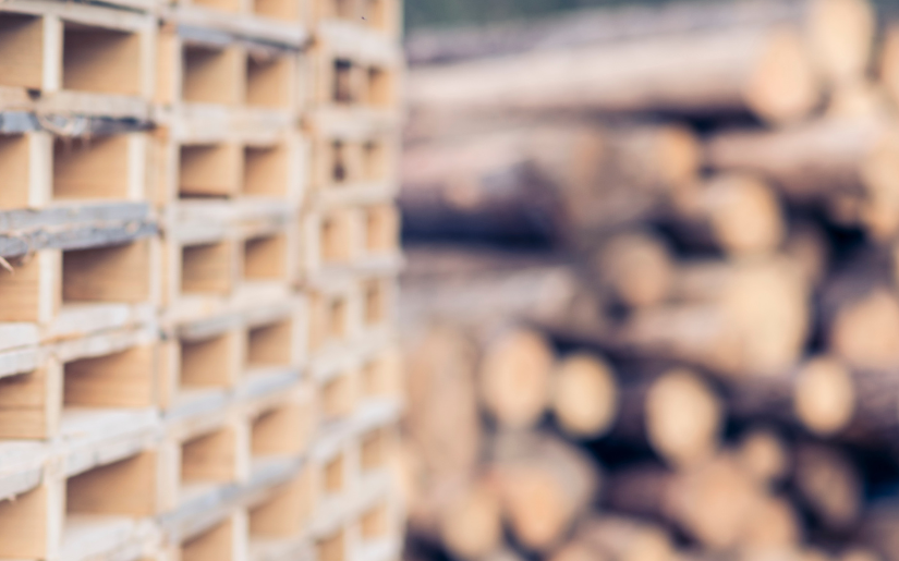 EUDR & the European Forest Industry